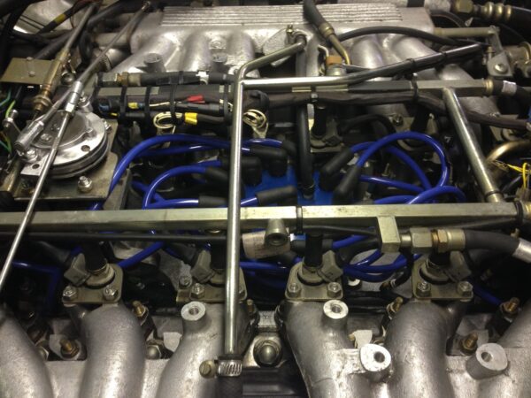 Blue 8.5mm Performance Ht Leads Fits The Jaguar Daimler V12 Series 3 He Xj12 Xj6